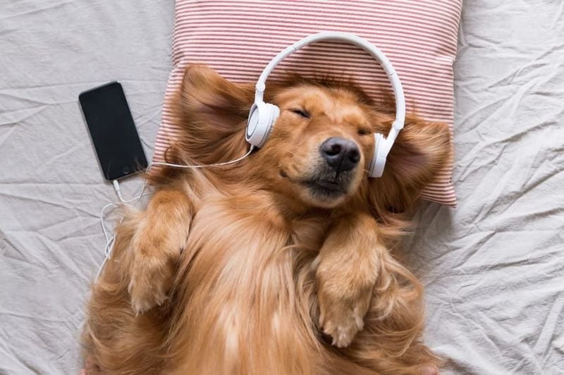 Try Calming Music or White Noise