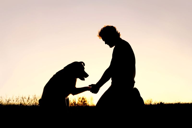 Give Yourself Permission to Grieve Fully