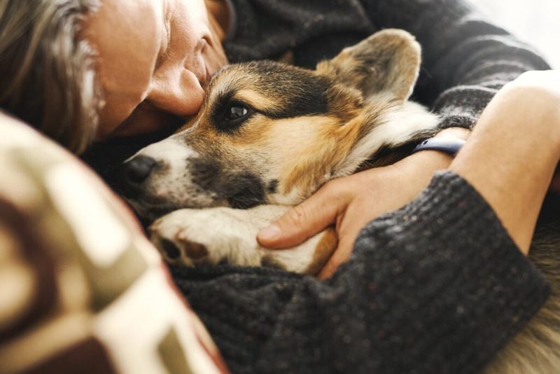 Touch That Heals