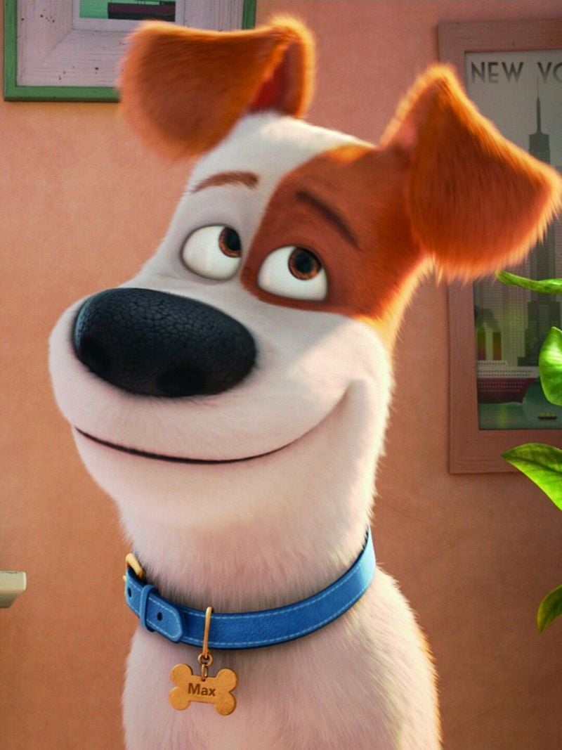 Max – The Secret Life of Pets (2016)