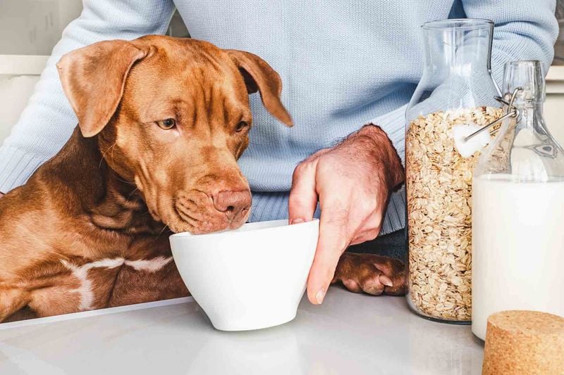Oatmeal (Plain, Cooked)