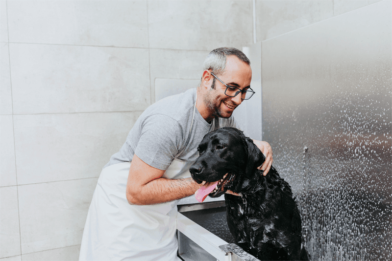 Visit the Groomer for a Meet-and-Greet