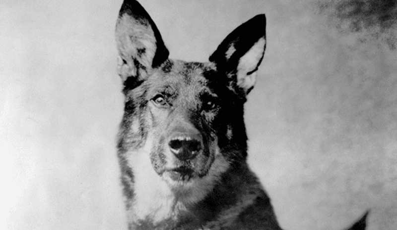 They Starred in Early Hollywood
