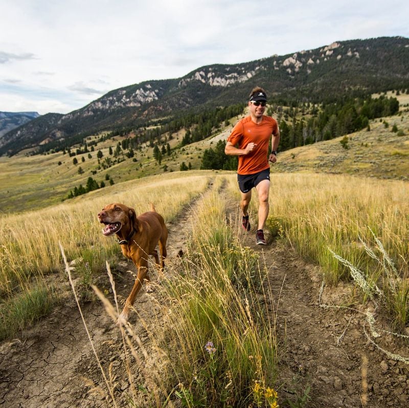 Better For Active Lifestyles
