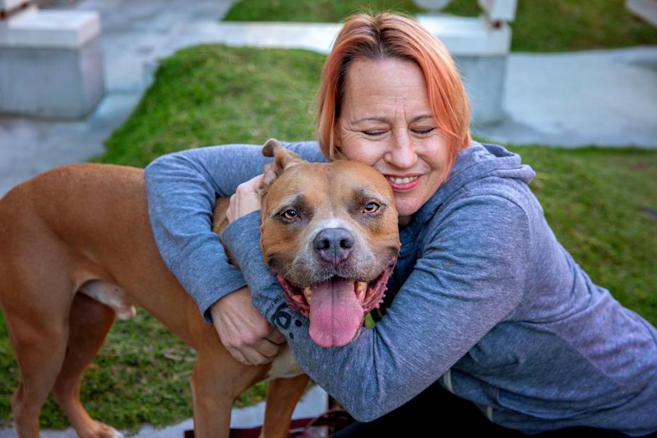 Pit Bull Terrier