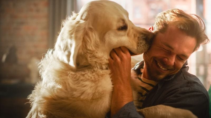 Unconditional Love Every Day