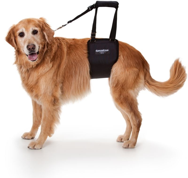 Mobility Aids