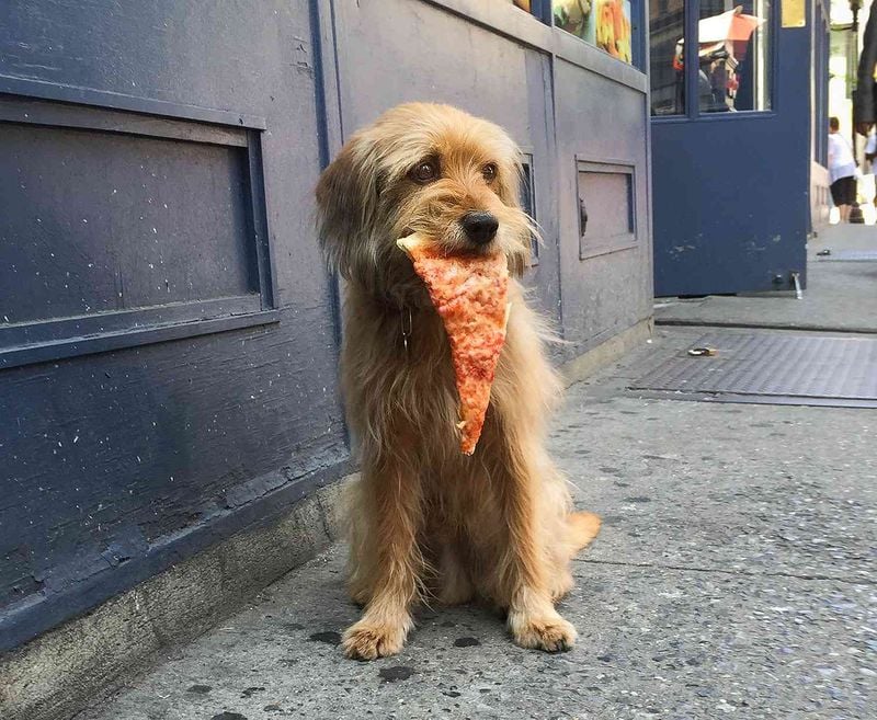 Benji