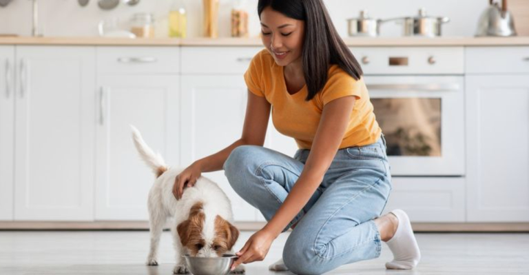 Scheduled vs. Free Feeding: What’s Best for Your Dog?