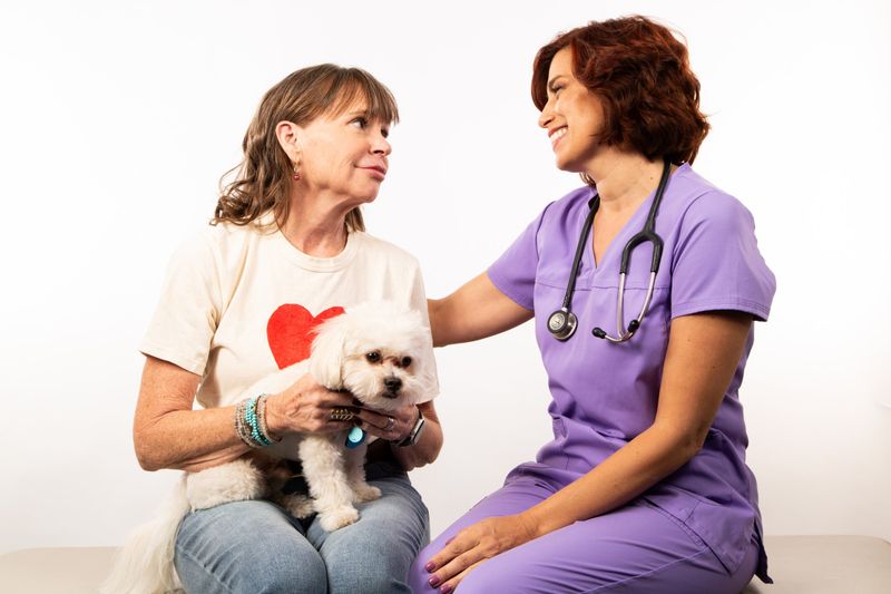 Contact Your Veterinarian