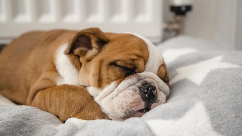 Respect Their Rest Time