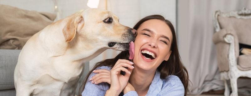 Affectionate Licking Without Food Motivation