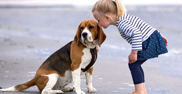 The 10 Best & Worst Dog Breeds for Families With Kids, According to Experts