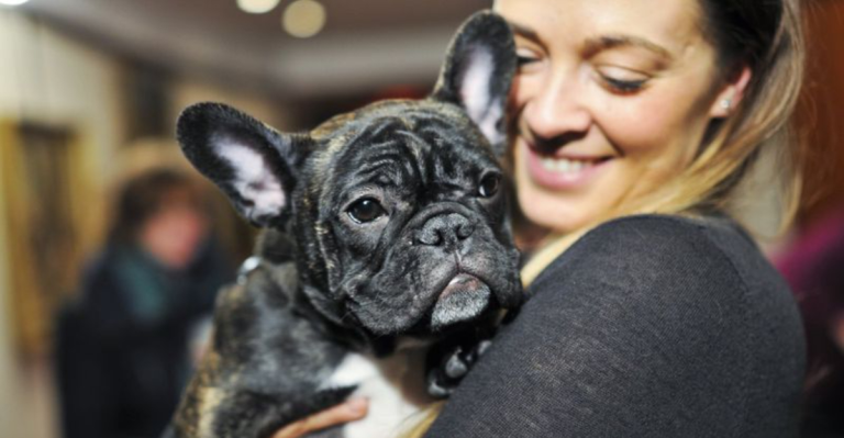 These 20 Dog Breeds Are Stolen the Most—Is Yours on the List?