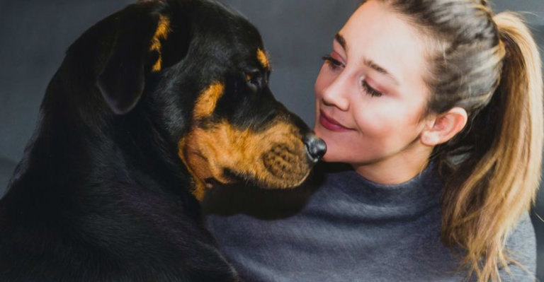 Top 15 Most Expensive Dog Breeds to Care For