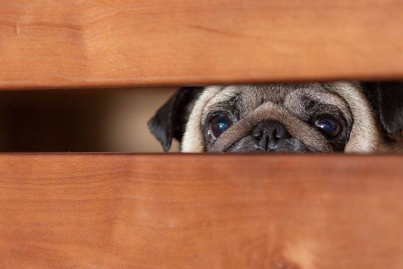 Hiding in Unusual Places