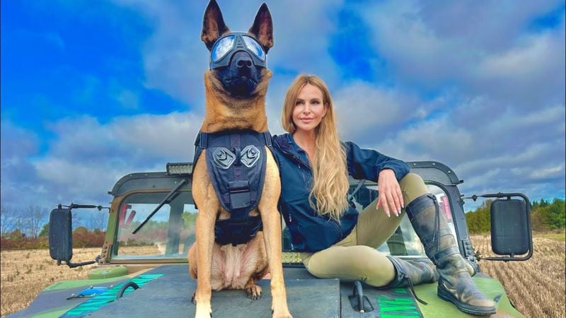 Belgian Malinois