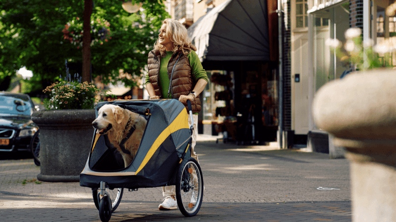 Luxury Pet Carriers & Strollers