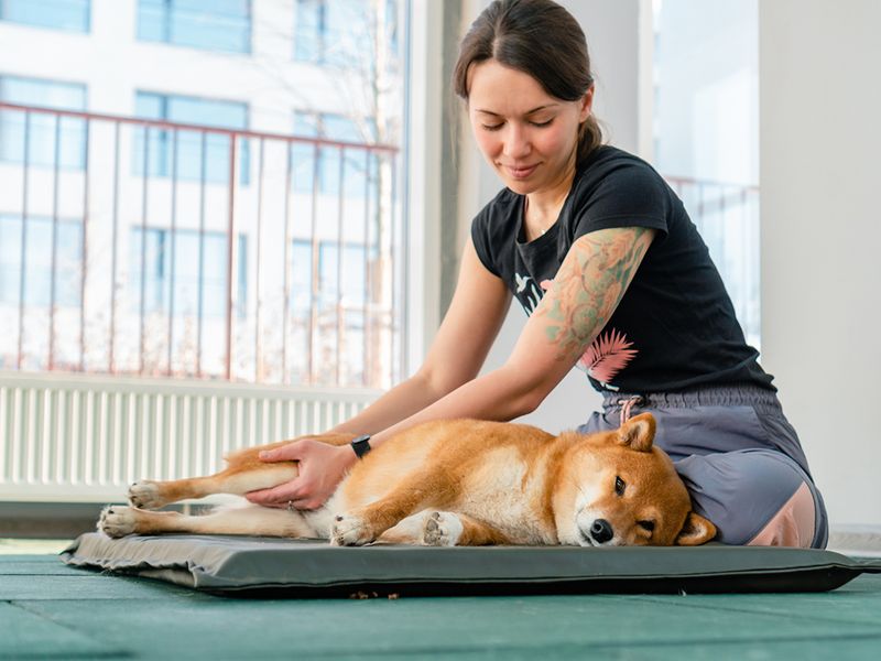 Slow, Relaxed Movements