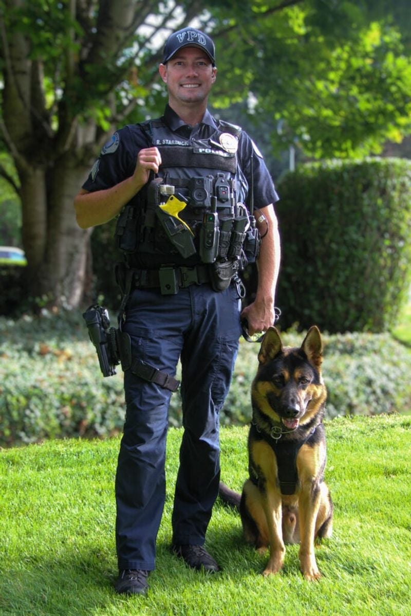 German Shepherd