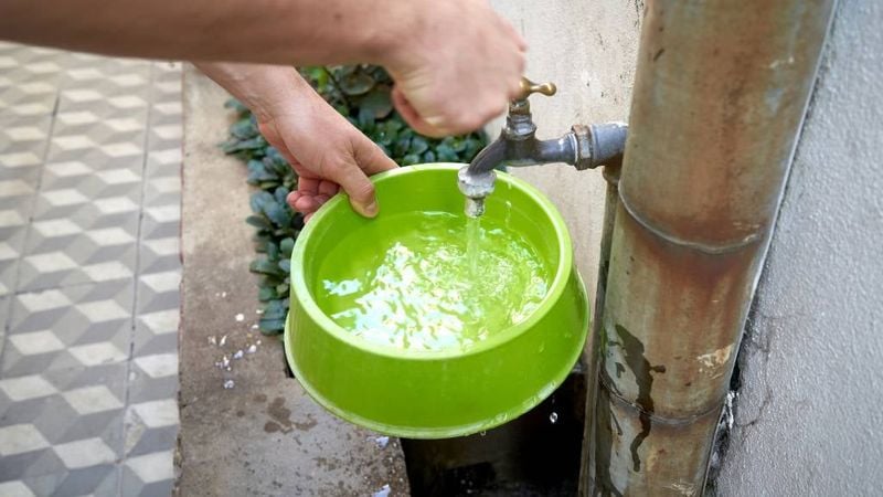 Fresh Water Daily
