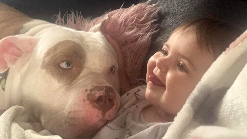 Gentle Giants Around Children