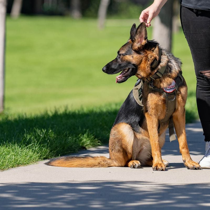 Teach Advanced Commands