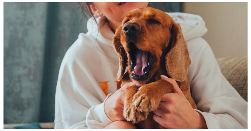 Yawning when you yawn
