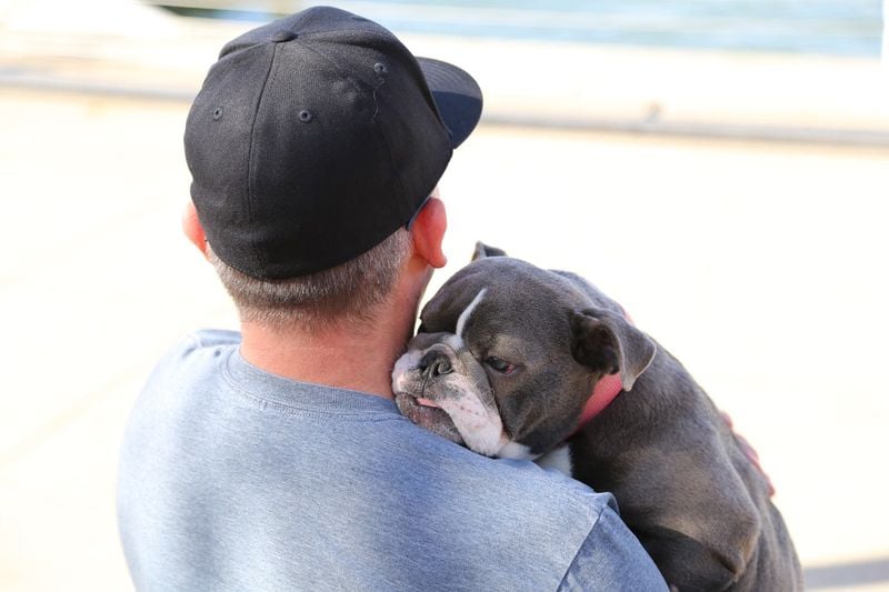 English Bulldog: The Wrinkled Worry-Absorber