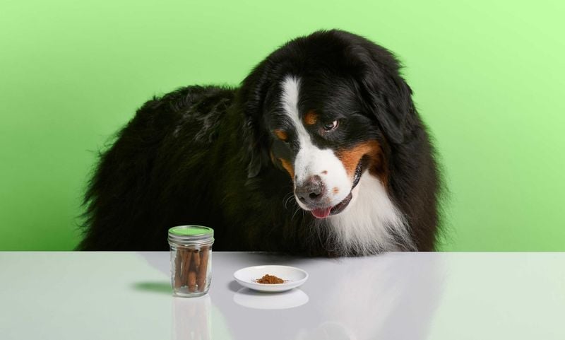 Human Food Seasonings (like salt, nutmeg, and chives)