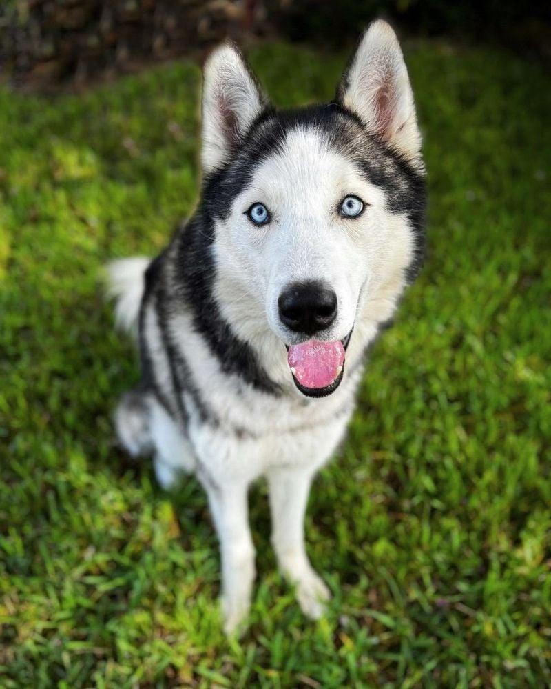 Those Hypnotic Blue Eyes
