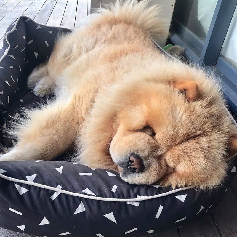 Sleeping More Than Usual