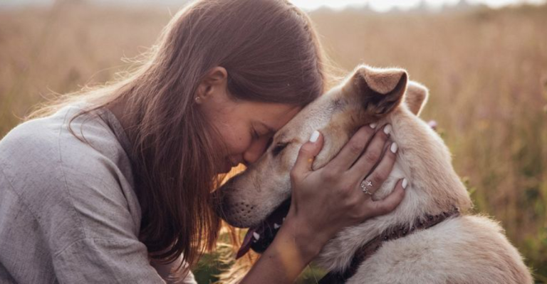 Your Dog Can Feel Your Heart: What Science Says About the Emotional Bond Between Humans and Dogs