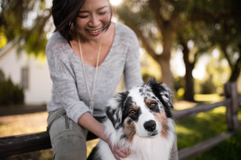 Australian Shepherd