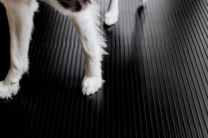 Non-Slip Flooring