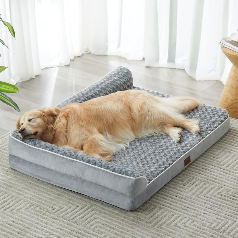 Orthopedic Dog Beds