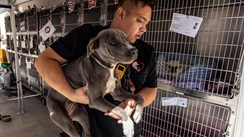 Difficult to Rehome