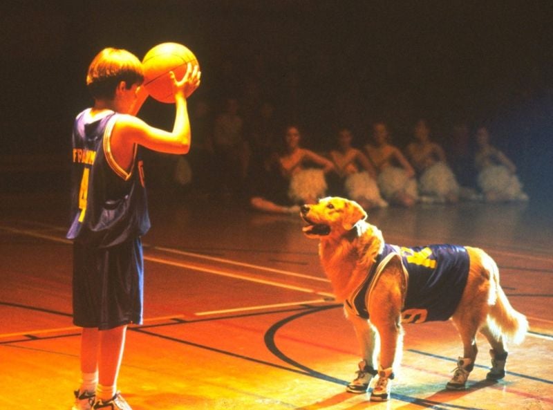 Buddy (Air Bud)
