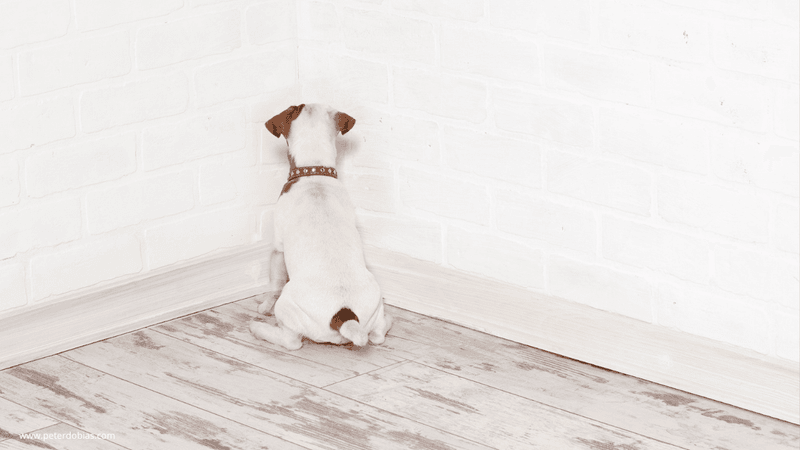 Staring at Walls or “Zoning Out”