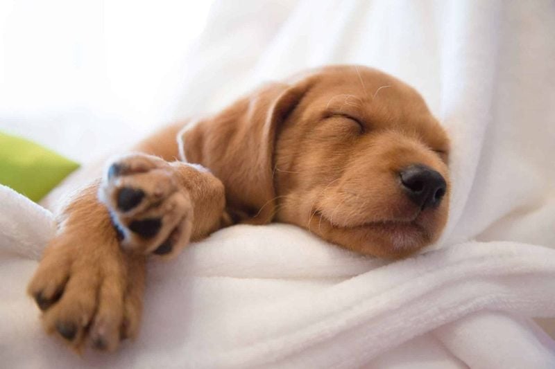 Peaceful Sleeping Patterns