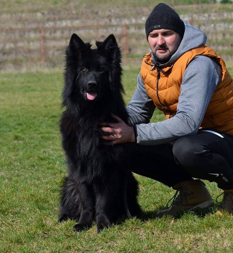 That Jet-Black Coat Is Low Maintenance