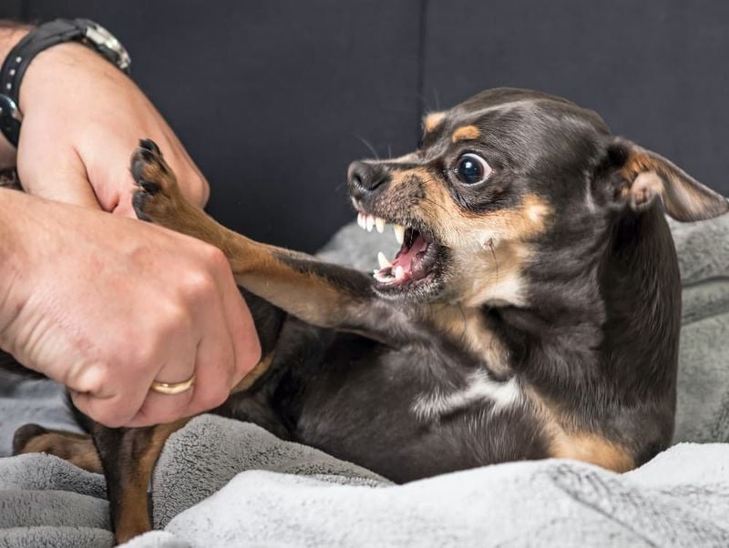 Unusual Aggression or Irritability