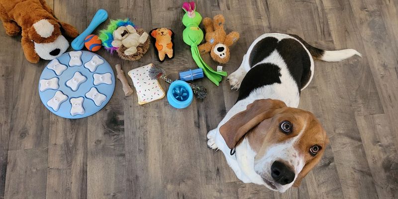 Rotating Toy Collection