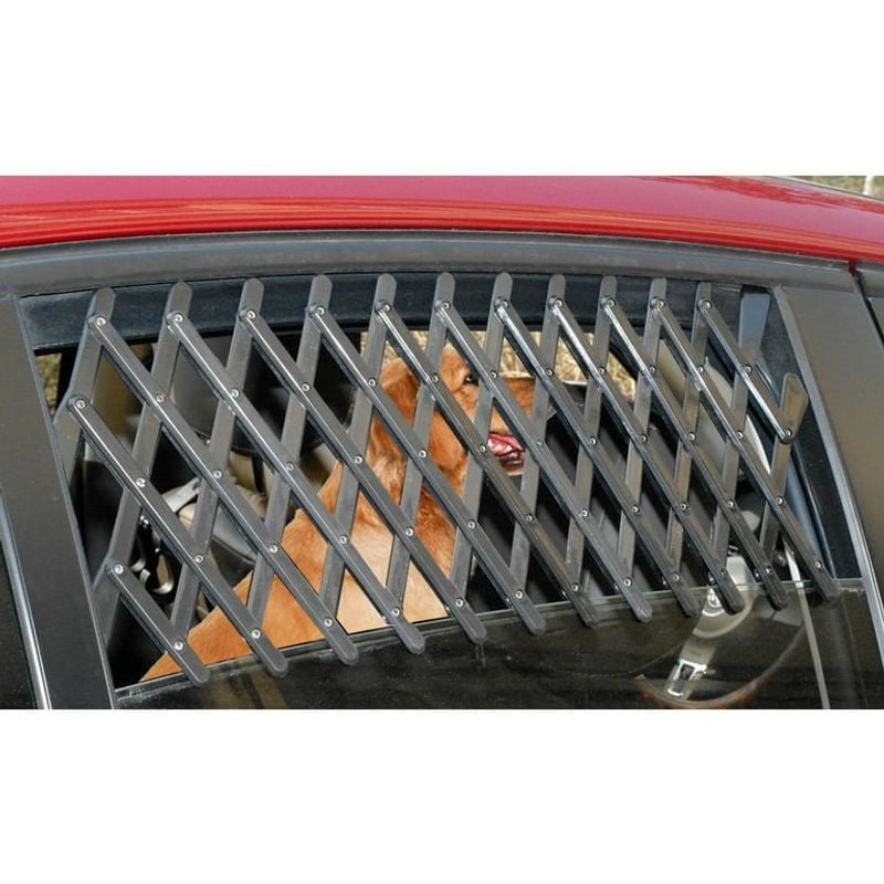 Not Using Window Guards or Restraints