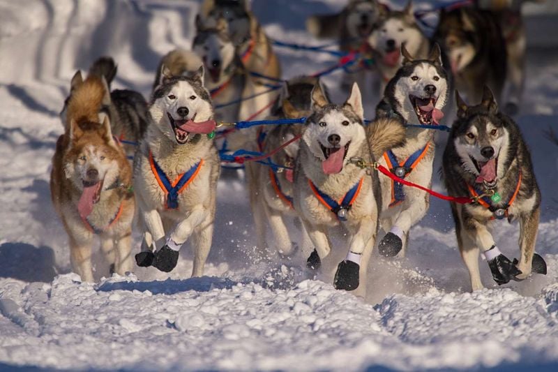 Incredible Endurance Athletes