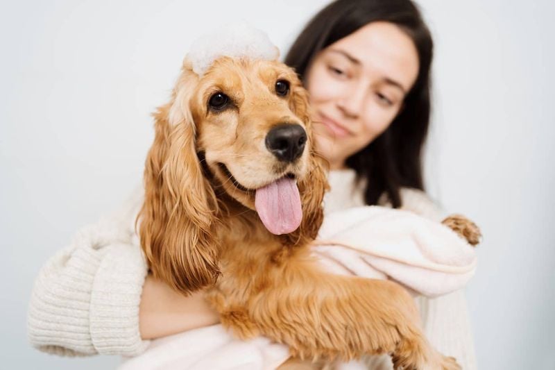 Heart-Melting Affection That Knows No Bounds