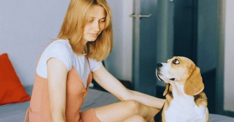 What Your Dog’s Stare Reveals About Its Thoughts and Feelings