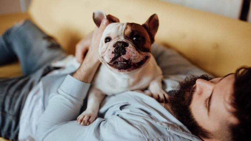 Calm, Non-Destructive Behavior