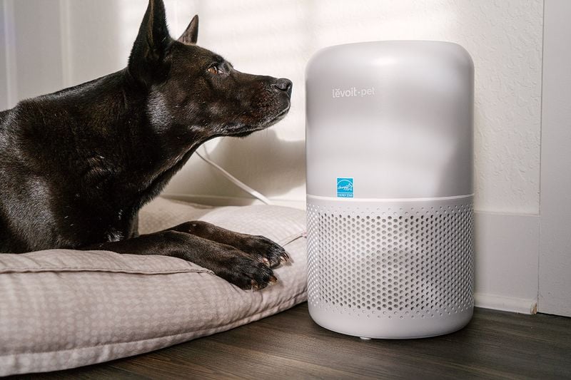 Invest in a HEPA Air Purifier