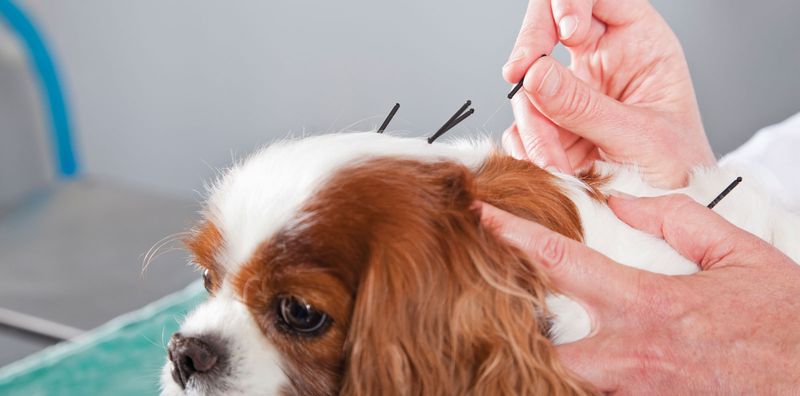 Acupuncture